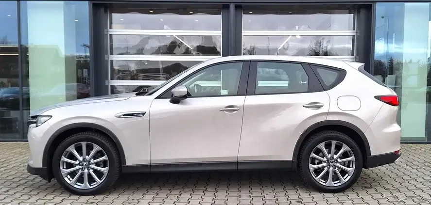 Mazda CX-60 cena 179900 przebieg: 23688, rok produkcji 2022 z Ostrów Wielkopolski małe 326